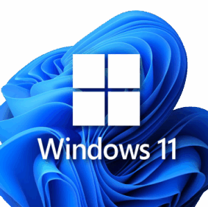 Microsoft Windows 11